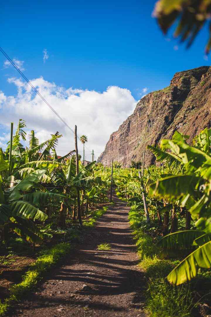 Isla de Madeira