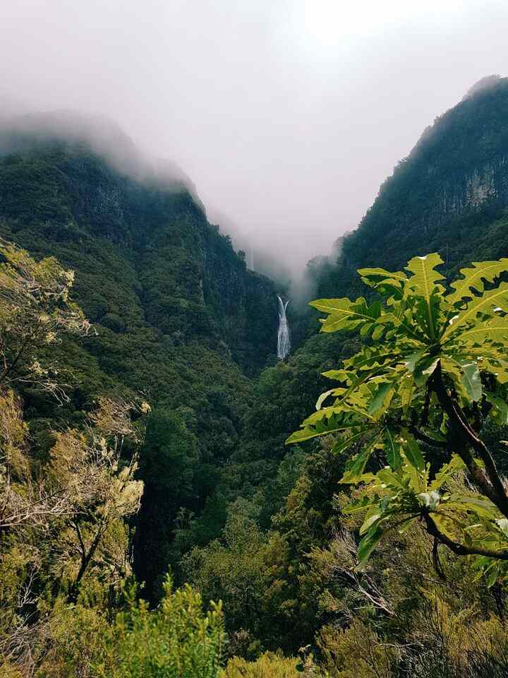 Isla de Madeira