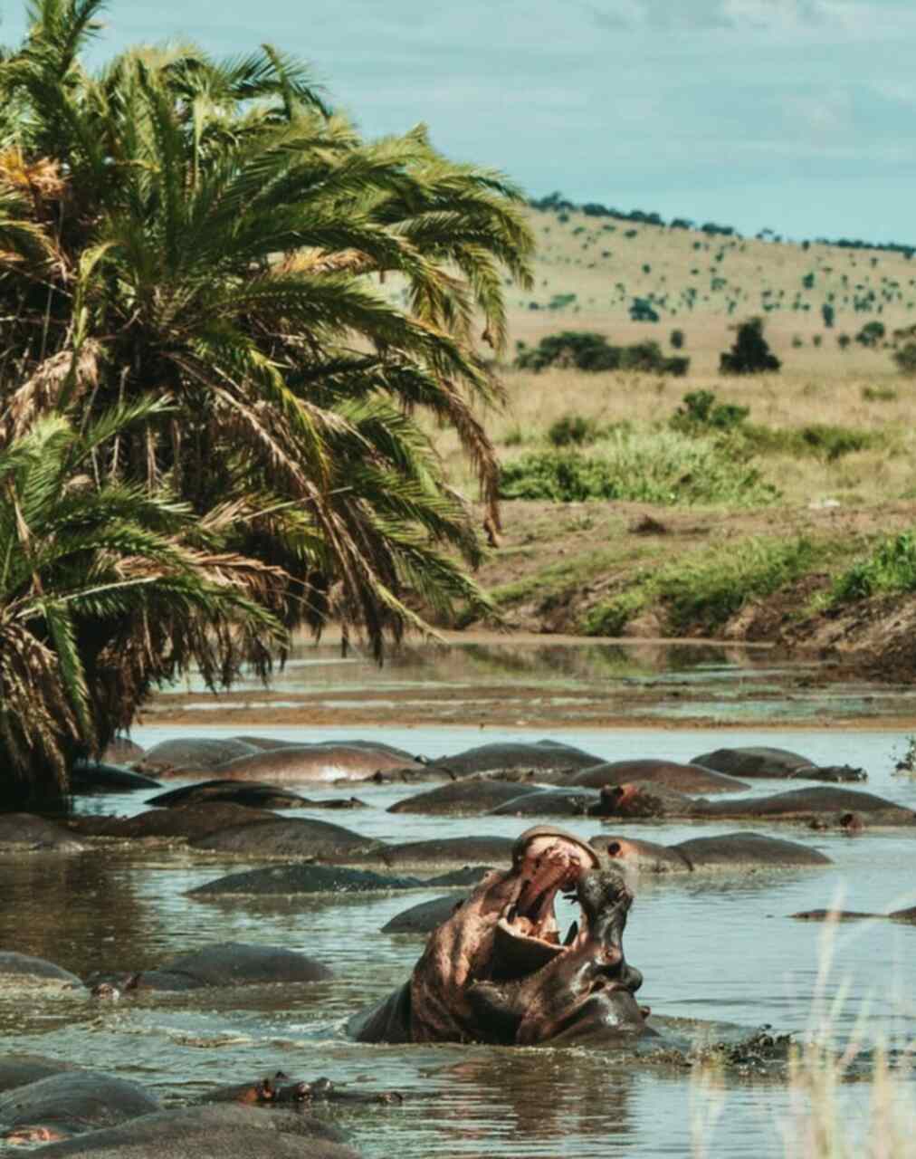 viajar enero