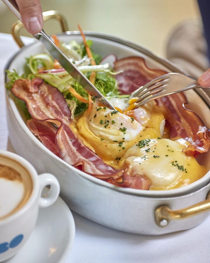 Huevos benedict, Bibo