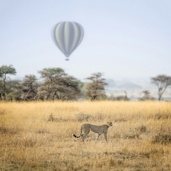 Tanzania