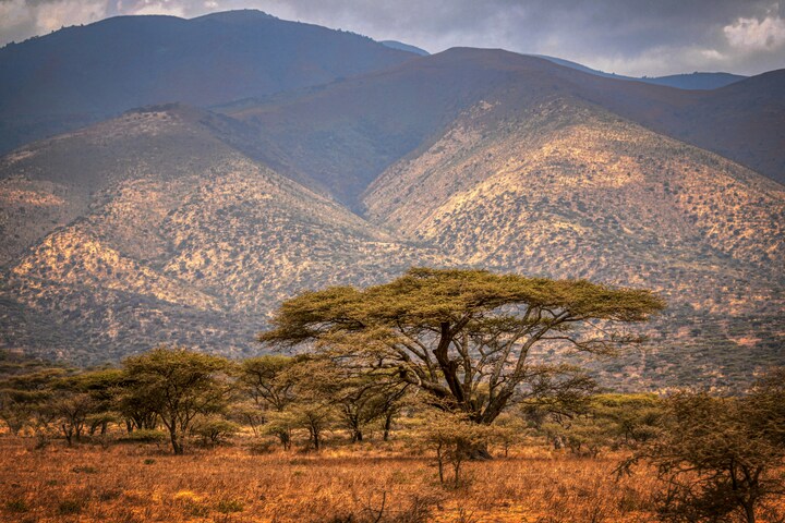 Tanzania