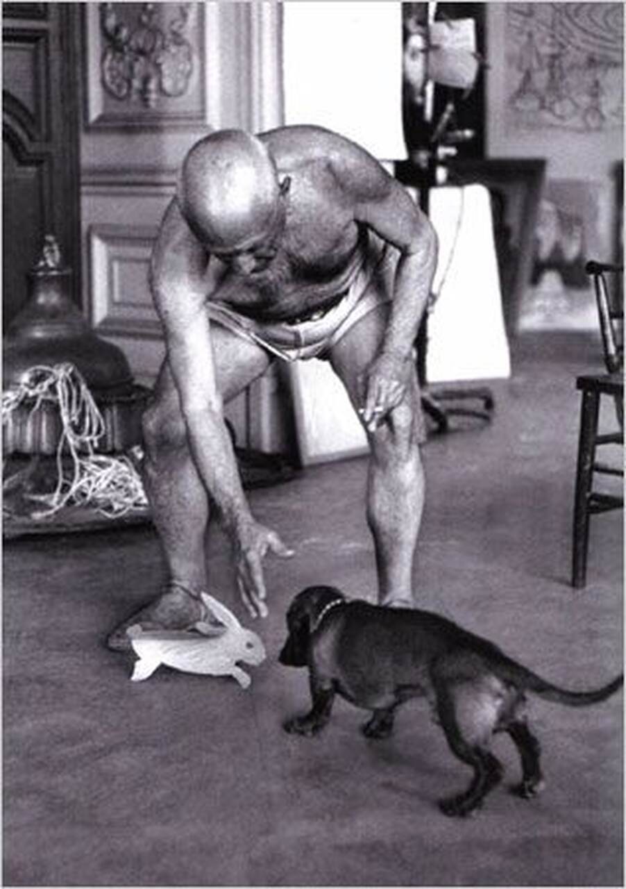 perro de picasso teckel