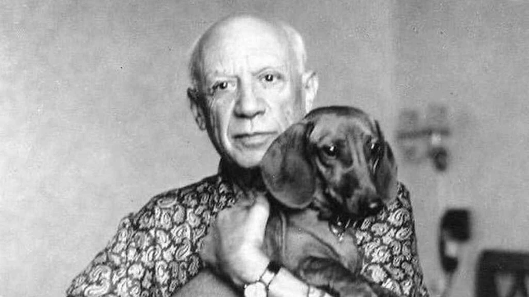 picasso mascota