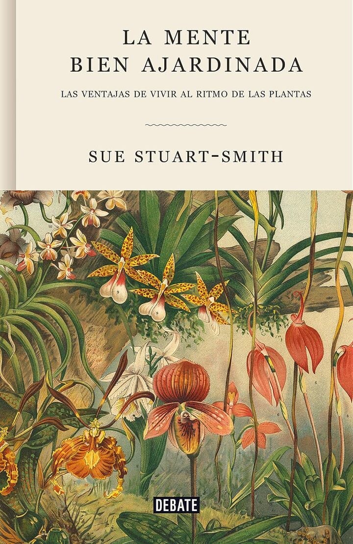 Sue Stuart-Smith