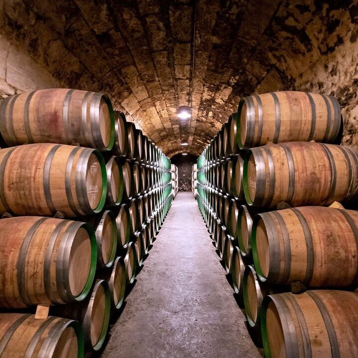 Marqués de Riscal