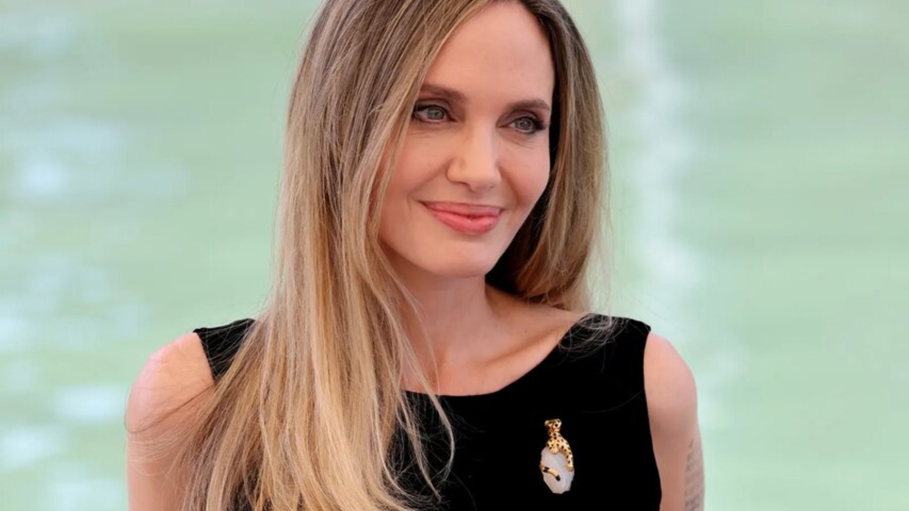 Angelina Jolie, cartier, broche