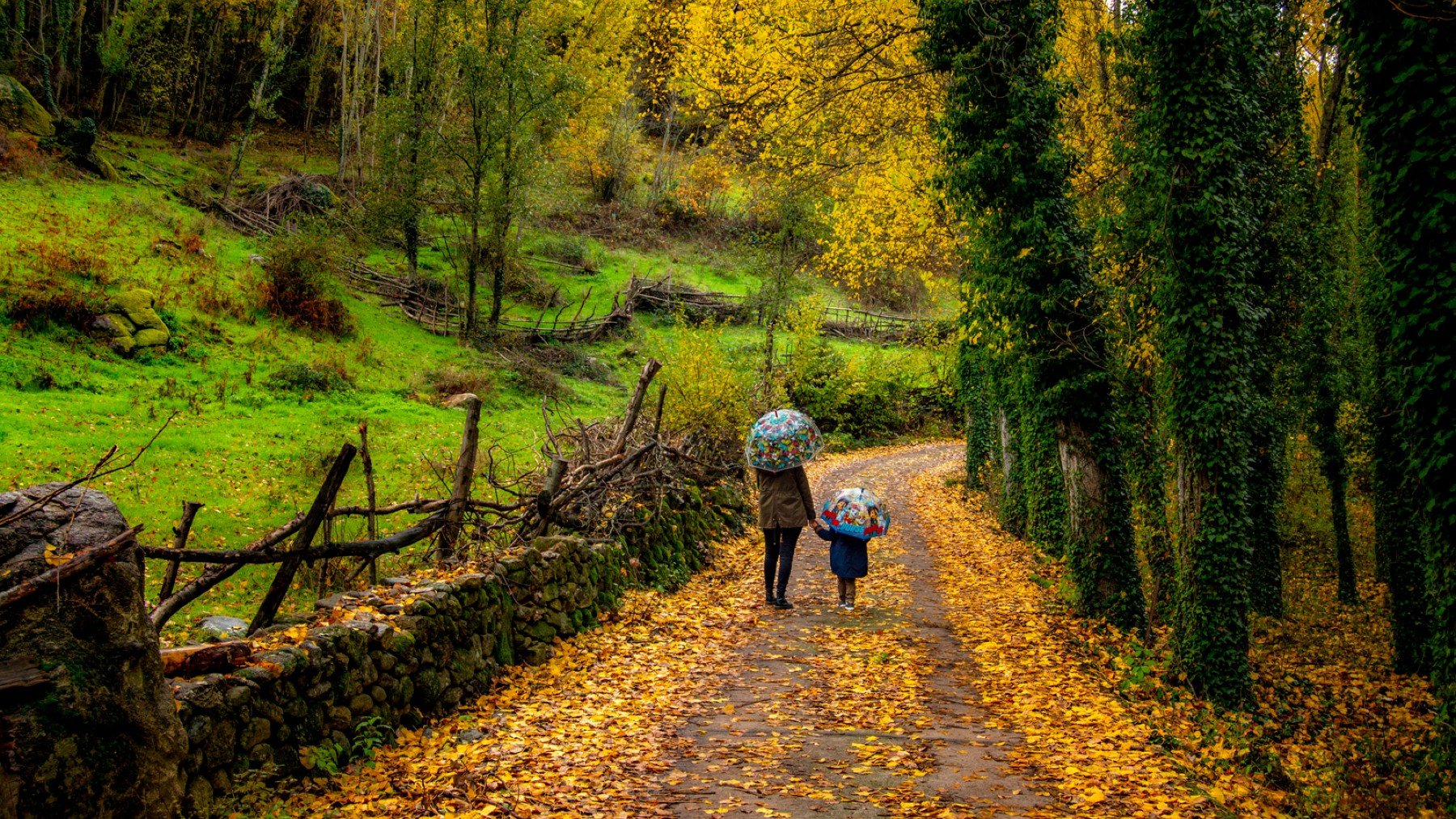 Senderismo, cultura y mucha naturaleza: ven a vivir el Otoño Mágico del Valle del Ambroz