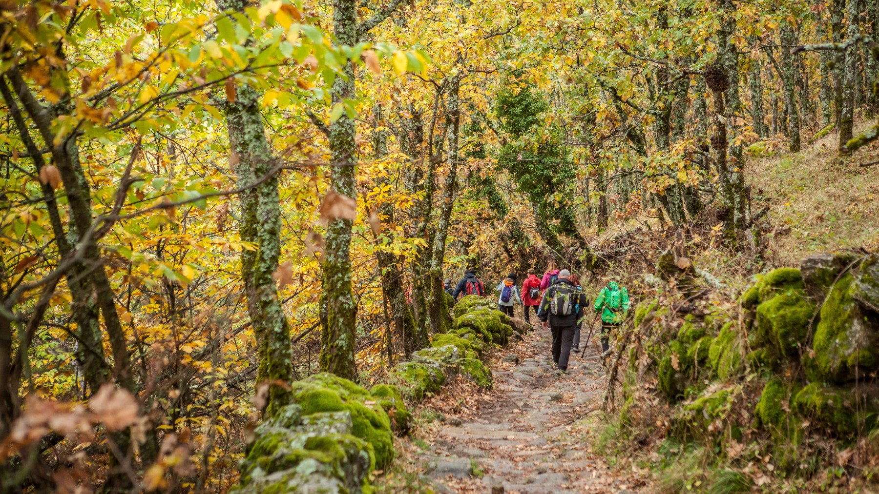 Senderismo, cultura y mucha naturaleza: ven a vivir el Otoño Mágico del Valle del Ambroz