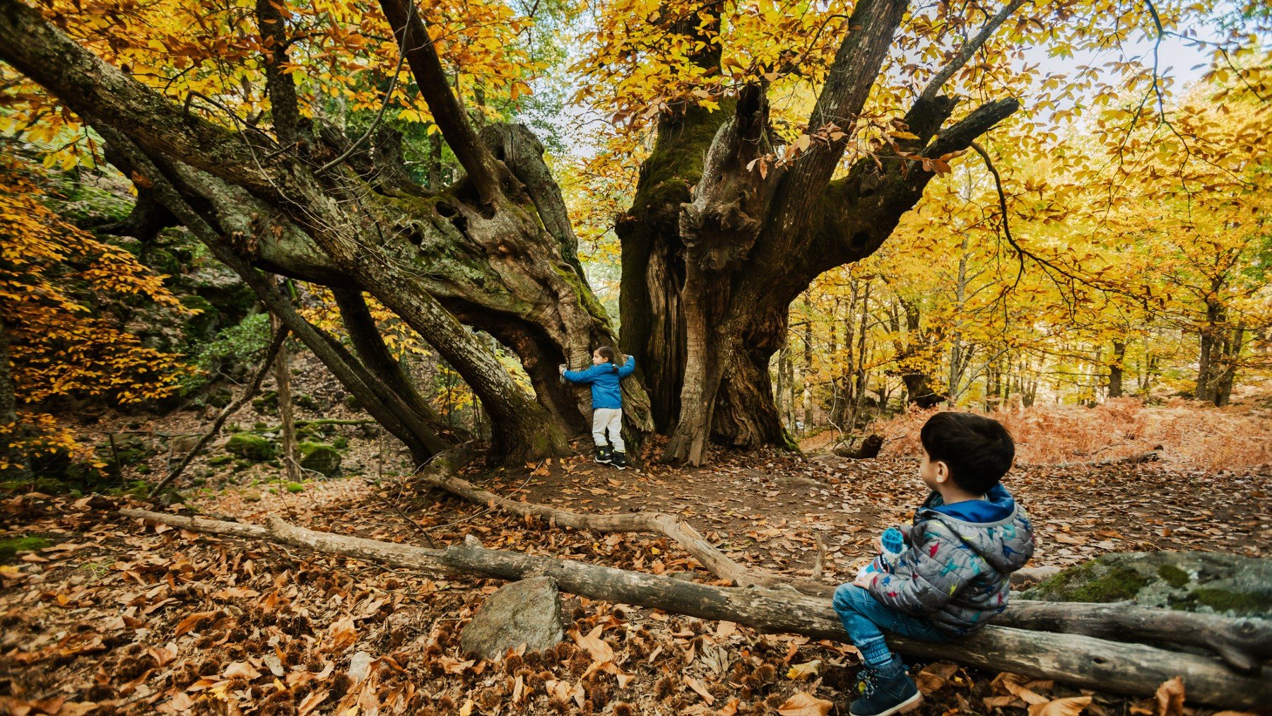 Senderismo, cultura y mucha naturaleza: ven a vivir el Otoño Mágico del Valle del Ambroz