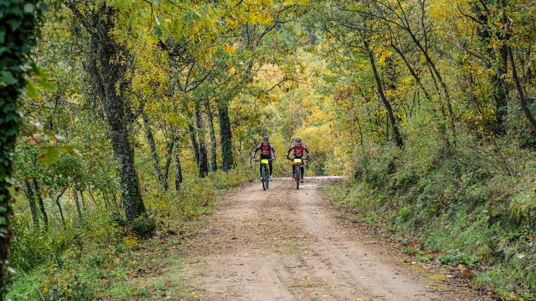 Senderismo, cultura y mucha naturaleza: ven a vivir el Otoño Mágico del Valle del Ambroz