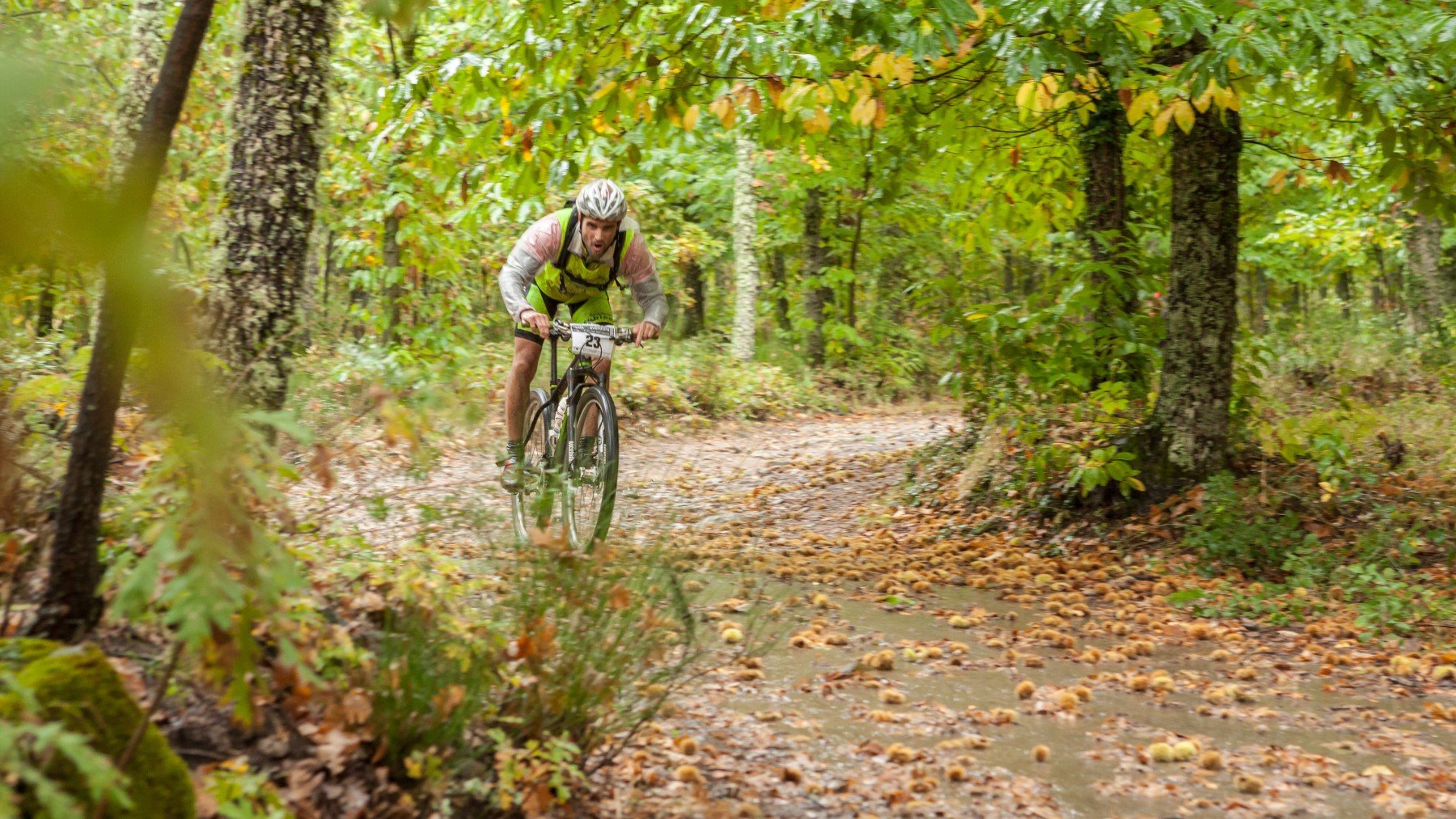 Senderismo, cultura y mucha naturaleza: ven a vivir el Otoño Mágico del Valle del Ambroz