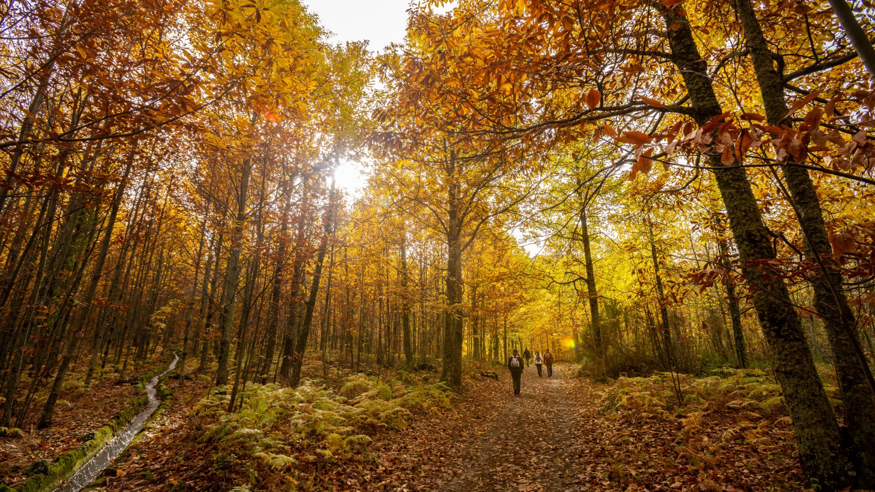 Senderismo, cultura y mucha naturaleza: ven a vivir el Otoño Mágico del Valle del Ambroz