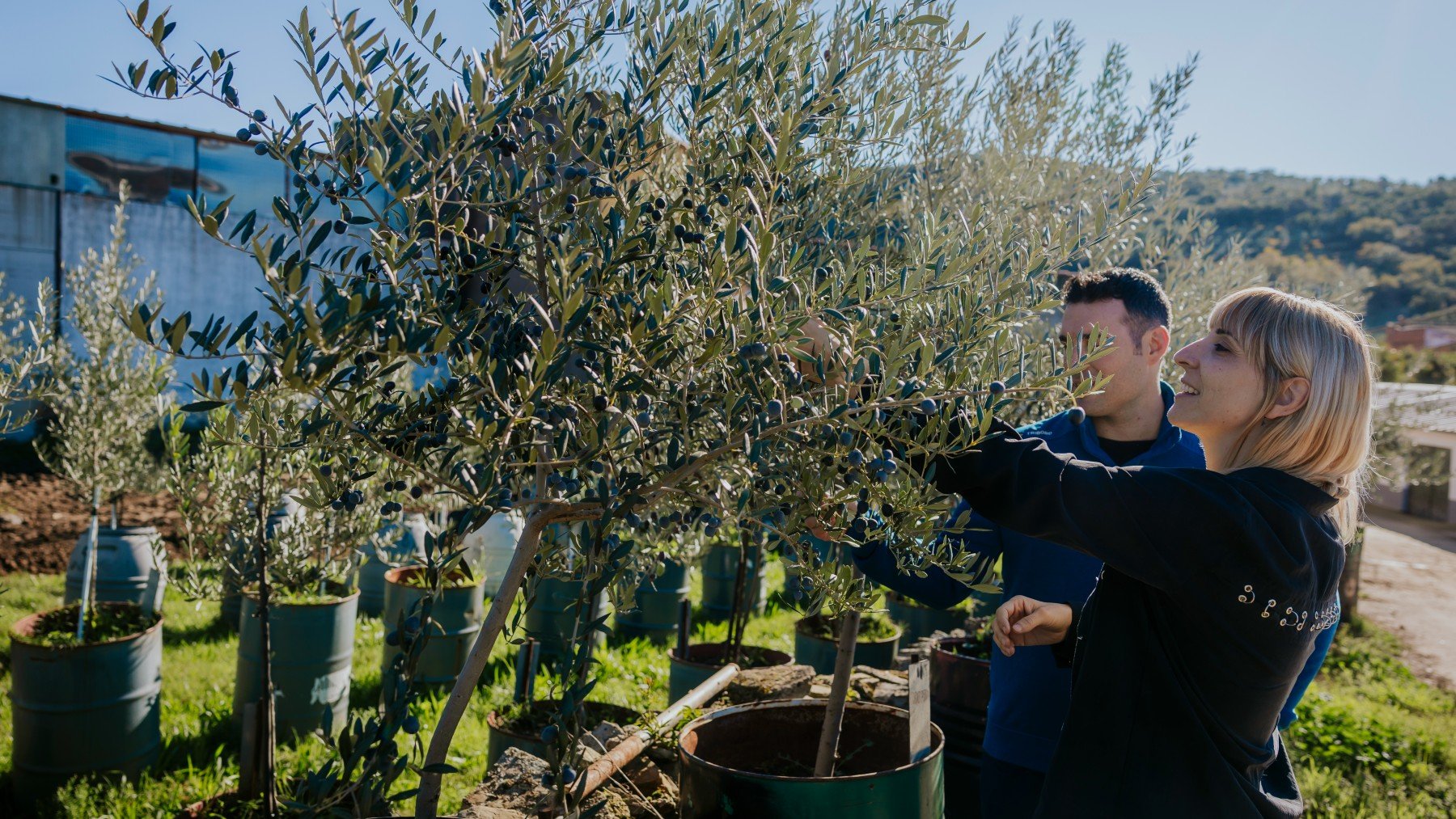 Extremadura a fuego lento: así es el arte culinario de un territorio lleno de sabor