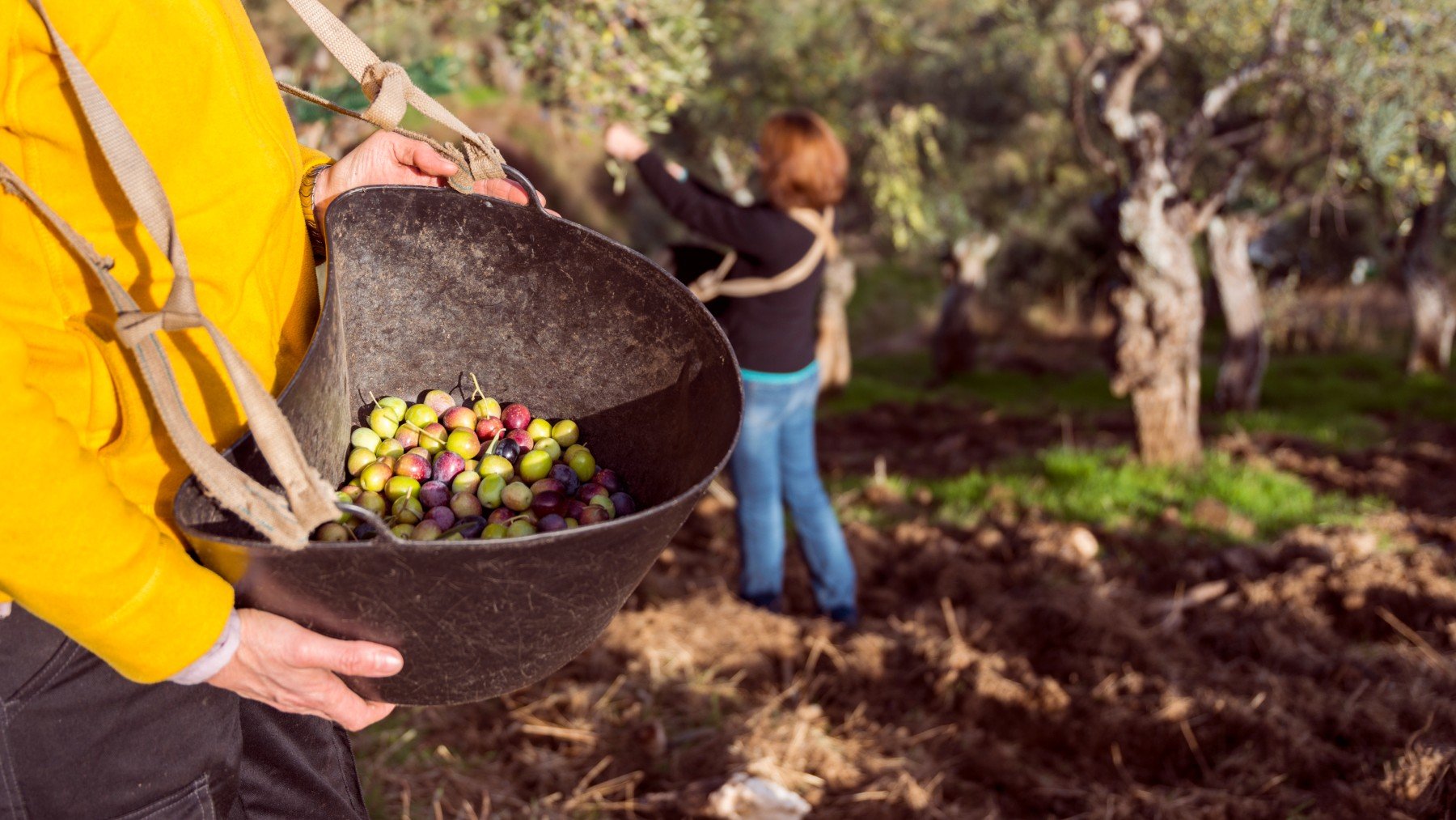 Extremadura a fuego lento: así es el arte culinario de un territorio lleno de sabor