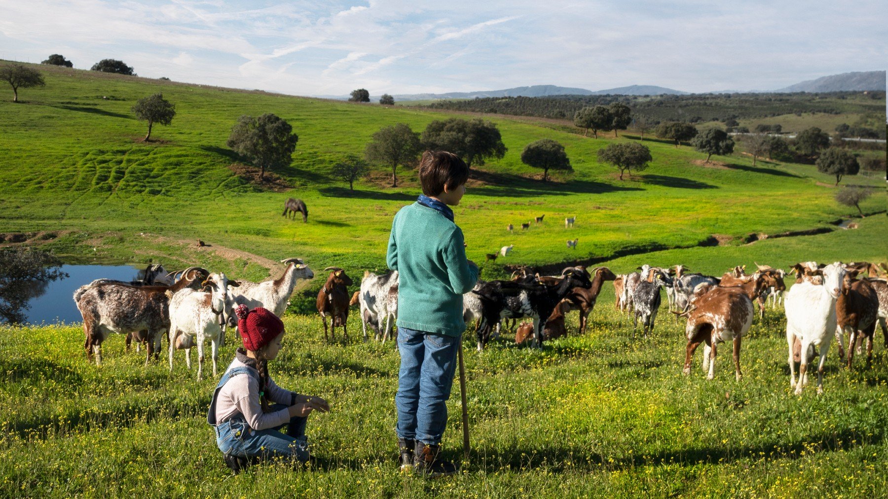 Extremadura a fuego lento: así es el arte culinario de un territorio lleno de sabor