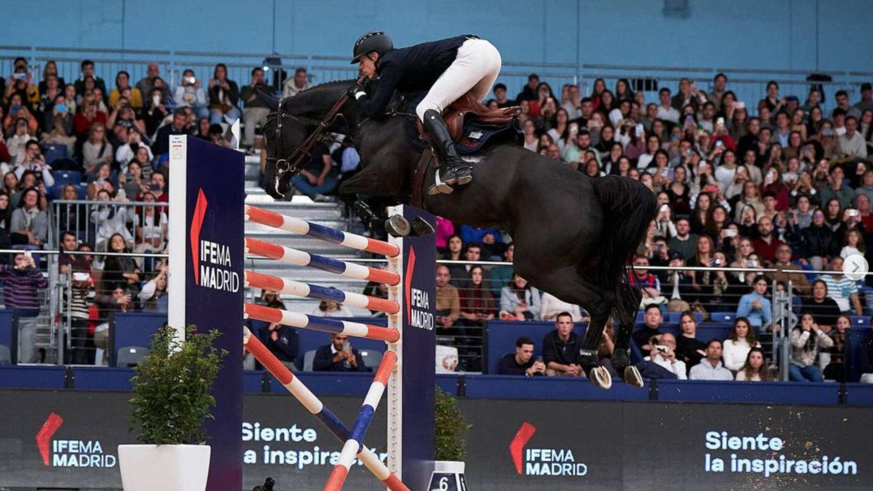Madrid Horse Week: vuelve a la capital el mayor evento ecuestre de nuestro país