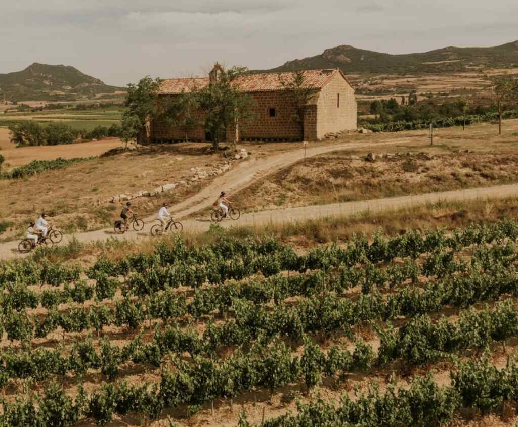 Bodegas Muga, bodega, vino