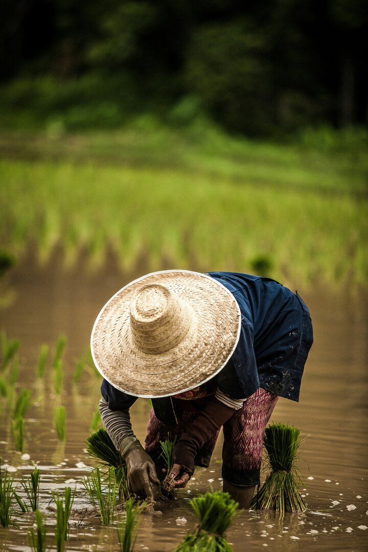 Tailandia