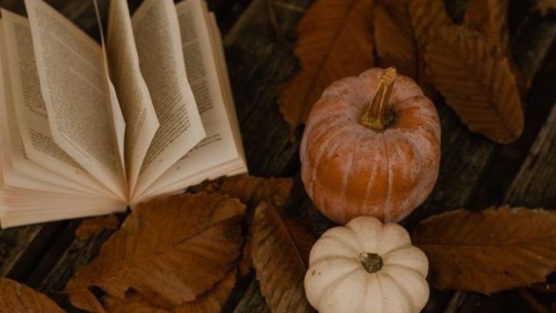 libros otoño recomendaciones