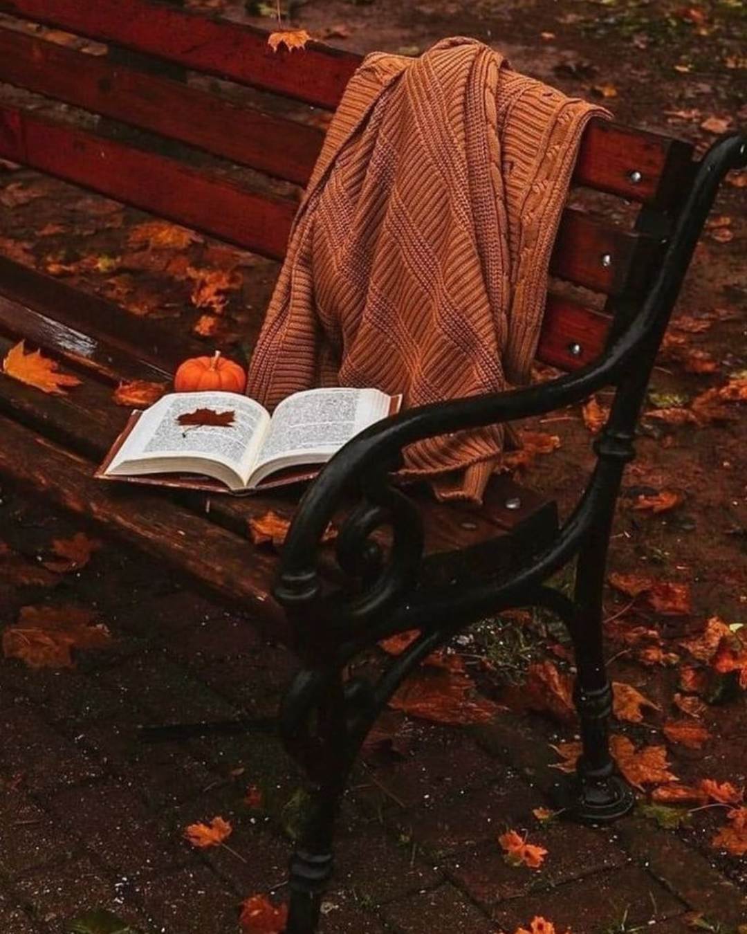 libros otoño