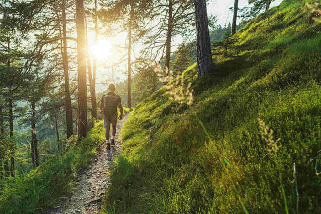 Hombre andando por el bosque haciendo silent walking