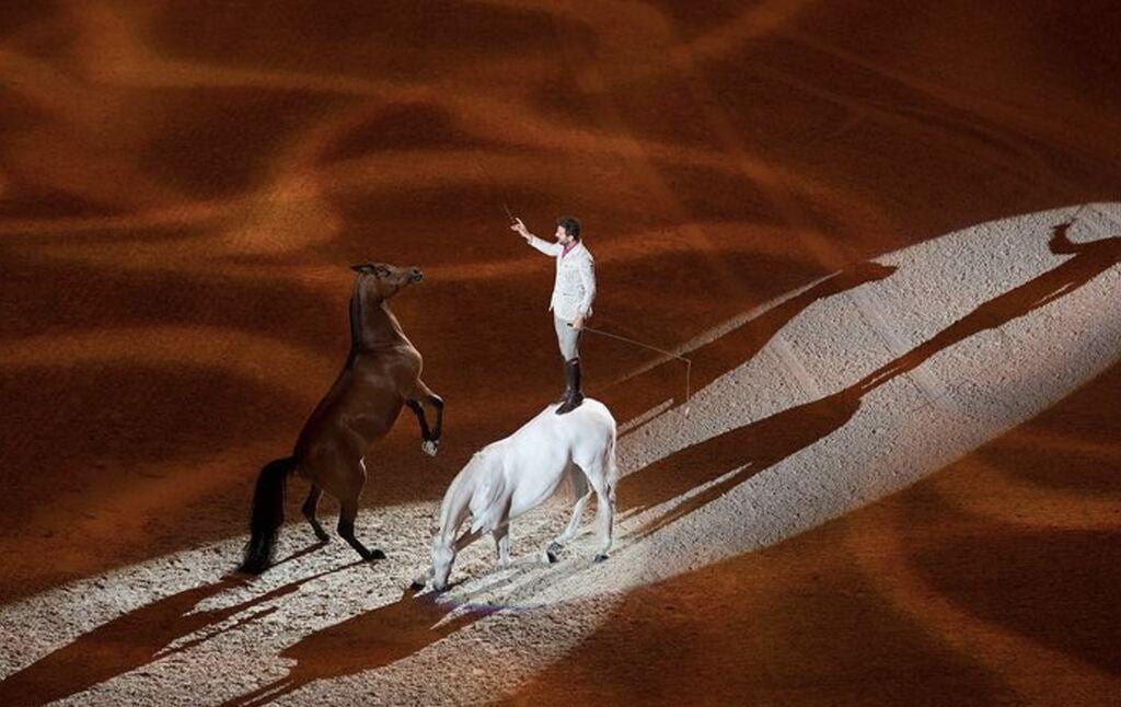 Santi Serra, caballos, doma