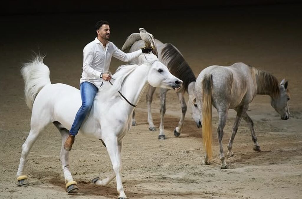 Santi Serra, caballos, doma