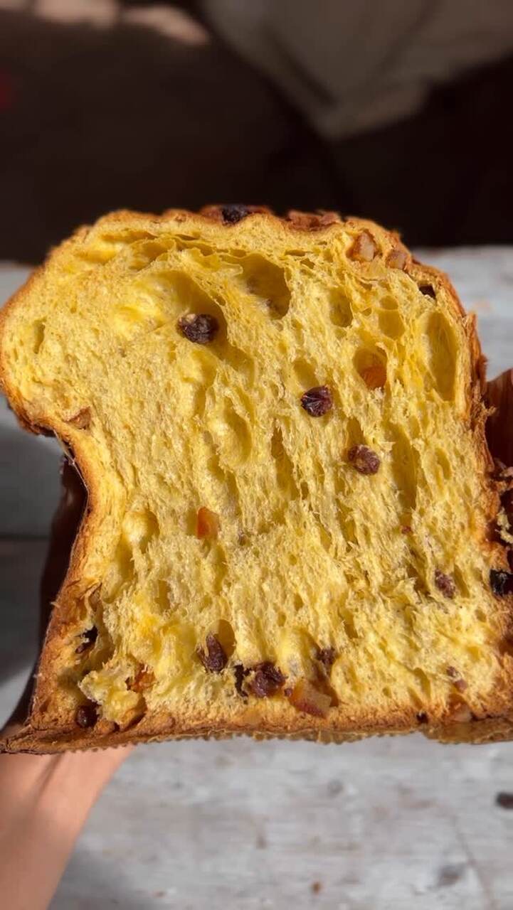 panettone chocolate