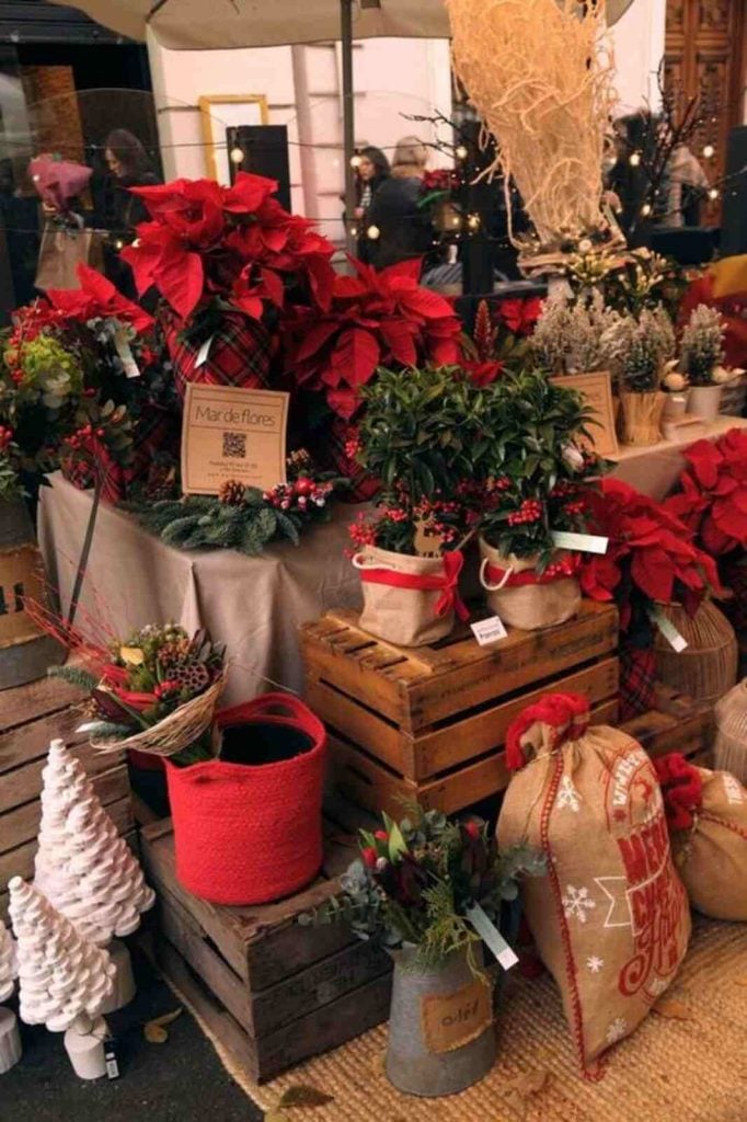 Flores de pascua en el mercado de las flores