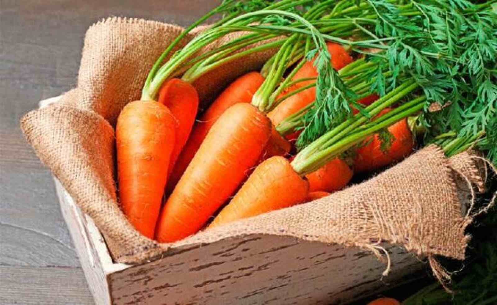 Zanahorias en una cesta, no envejecer