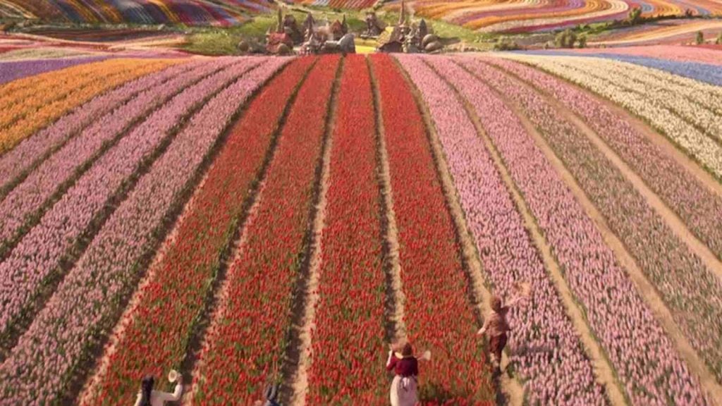 Campos de nueve millones de tulipanes