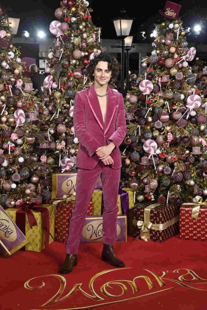 Chalamet de Willy Wonka