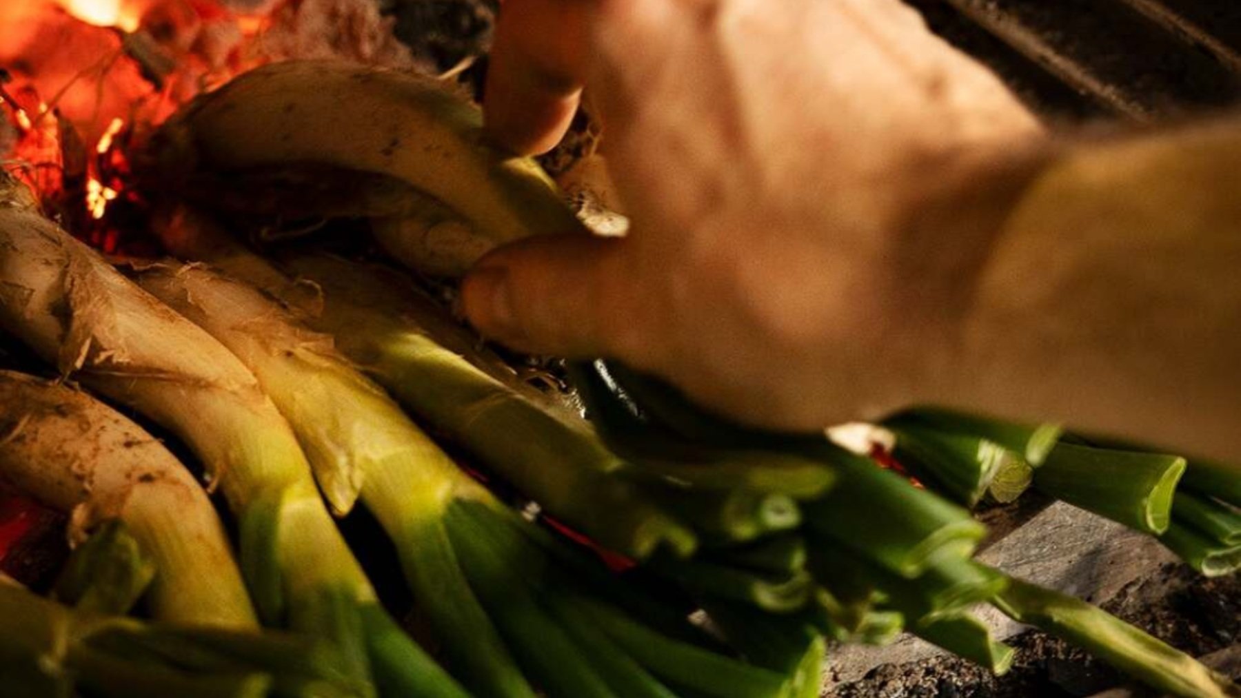 Calçots