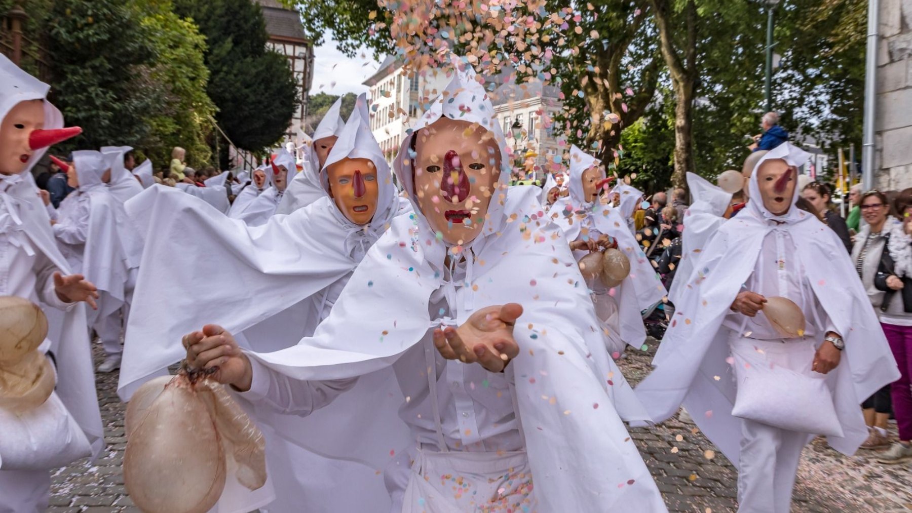 carnaval de Valonia