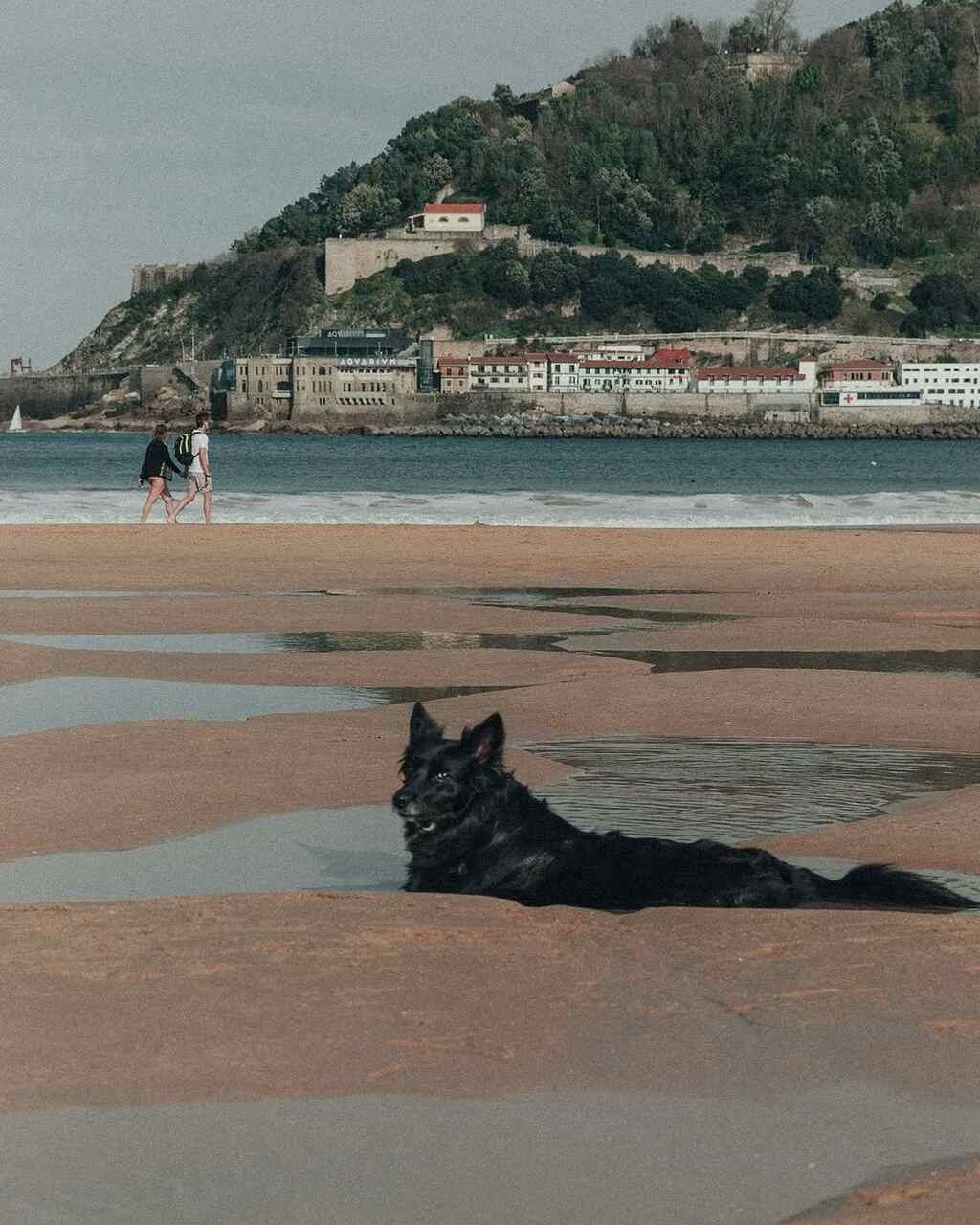 playa de la concha