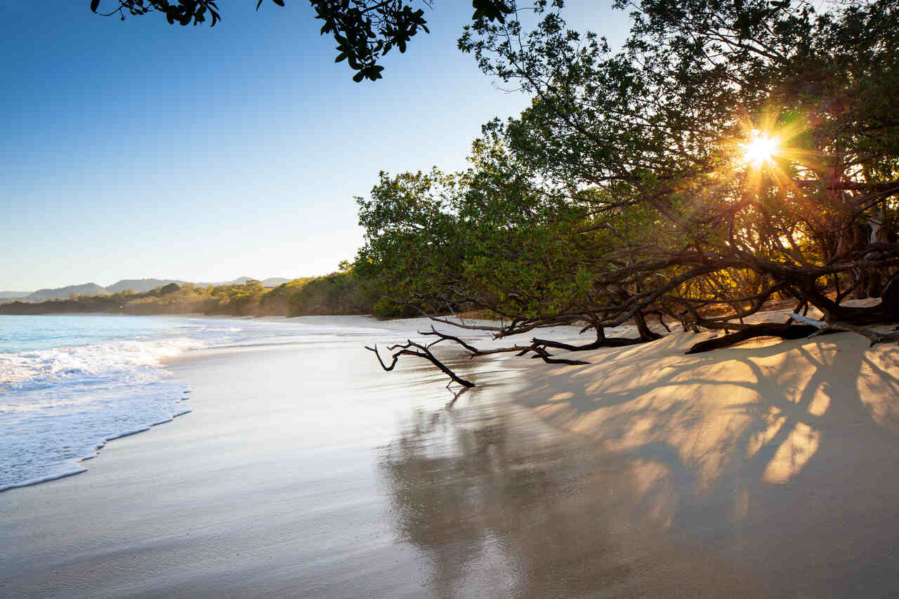 vacaciones costa rica, ni Miami ni Mallorca