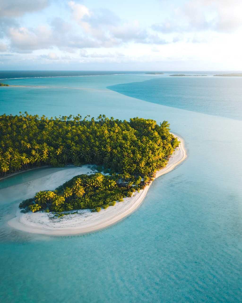 the brando hotel