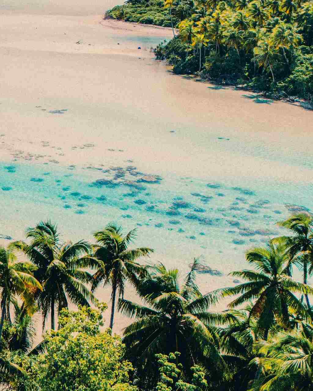 the brando resort