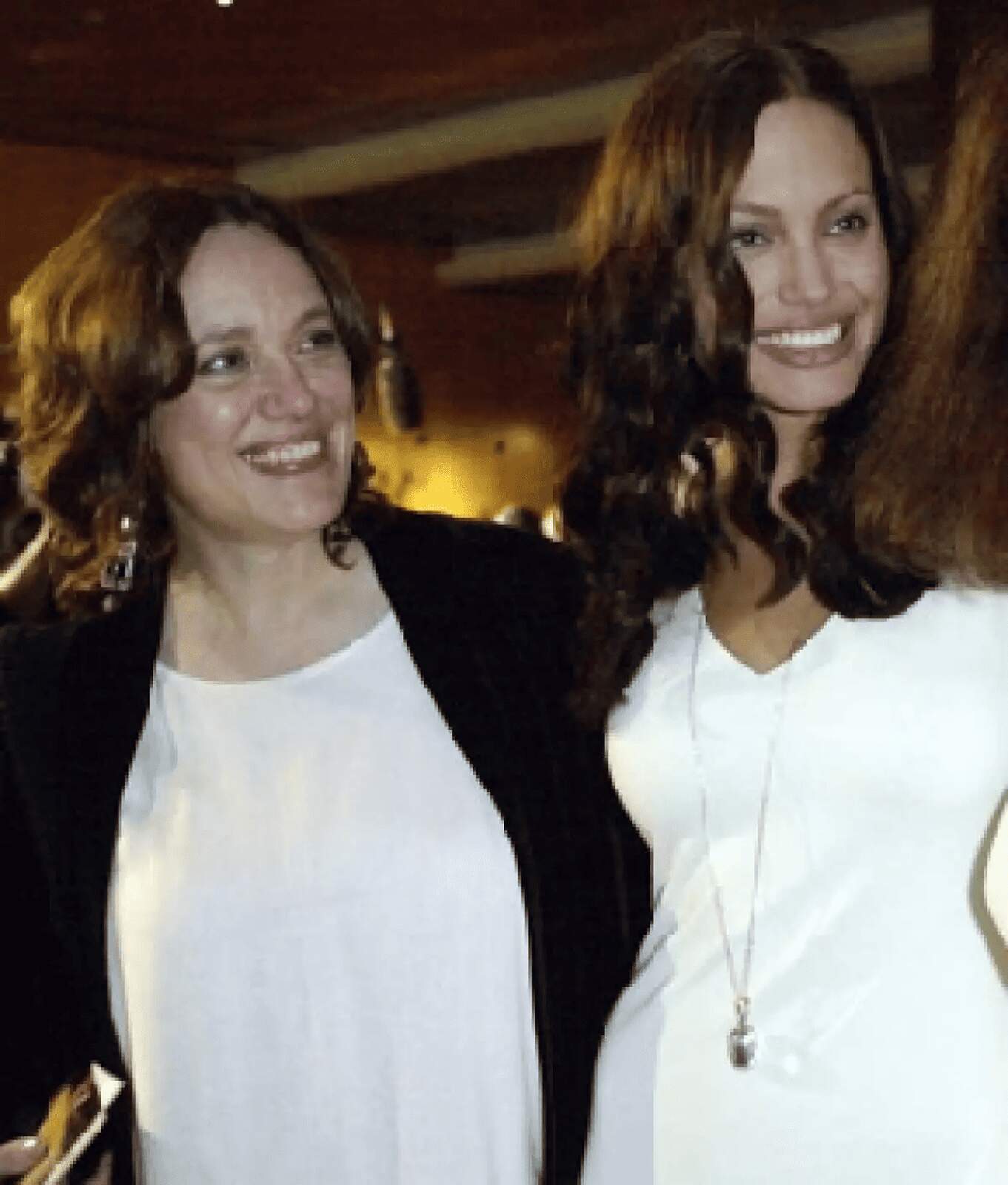 Angelina Jolie posando