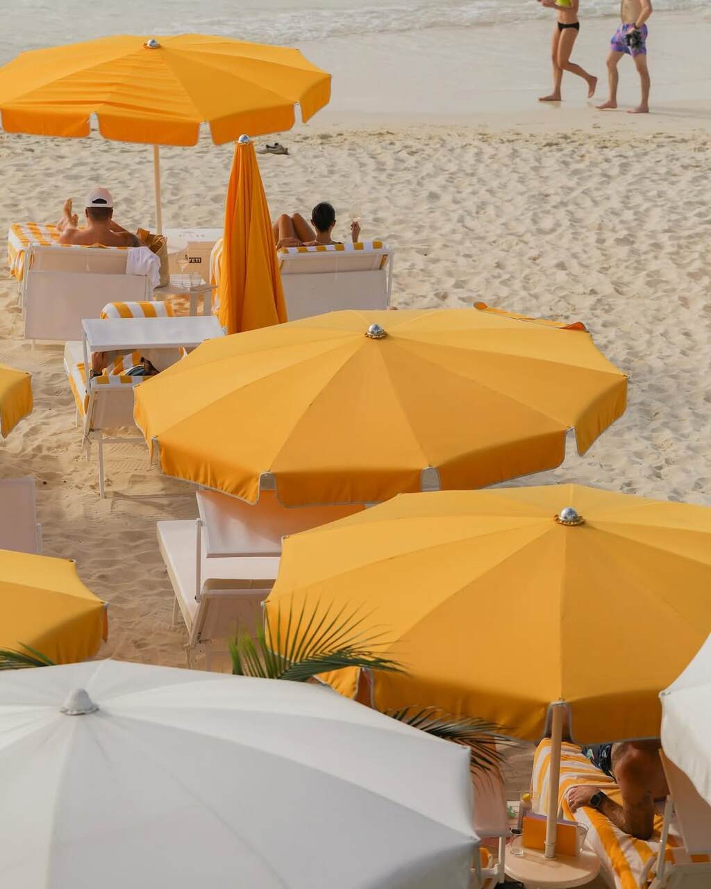 beach clubs francia
