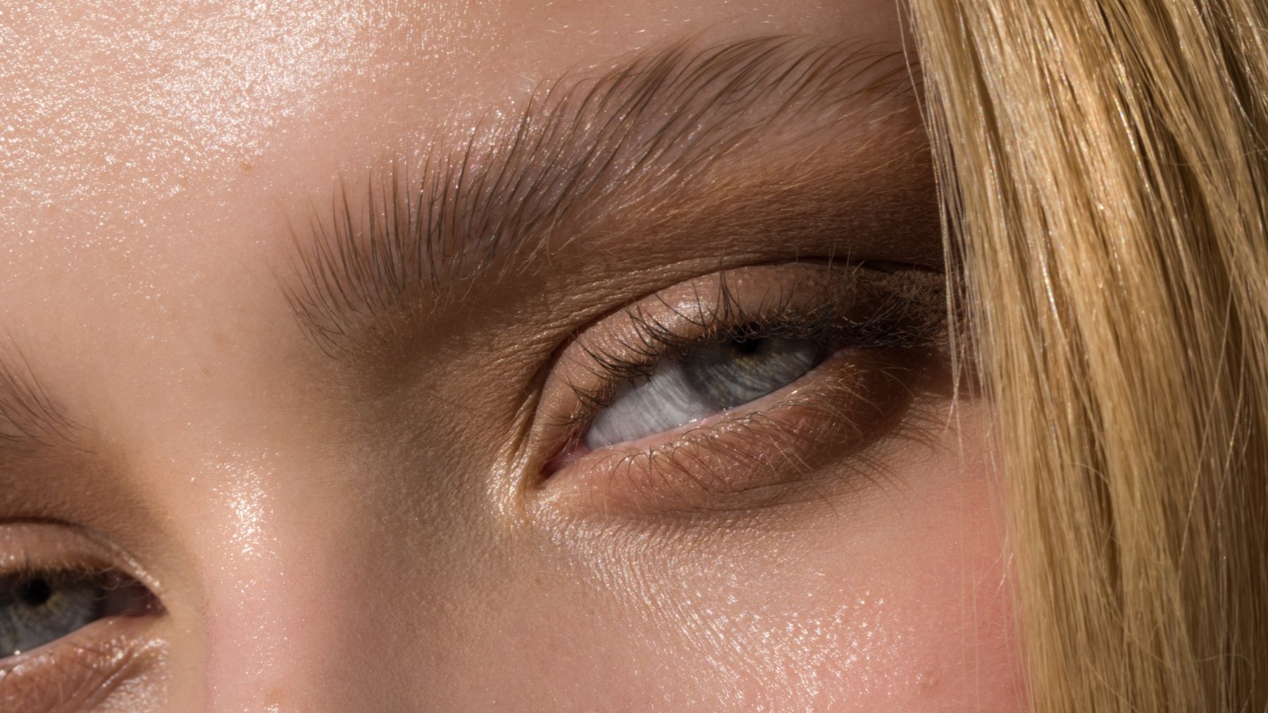 cejas del verano