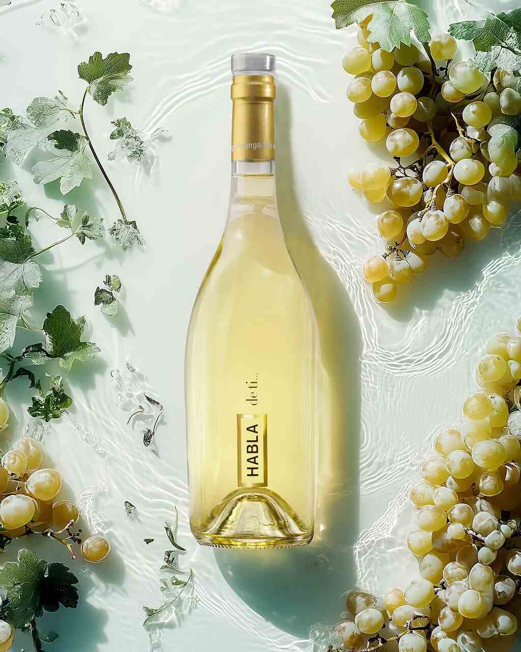 vinos blancos verano