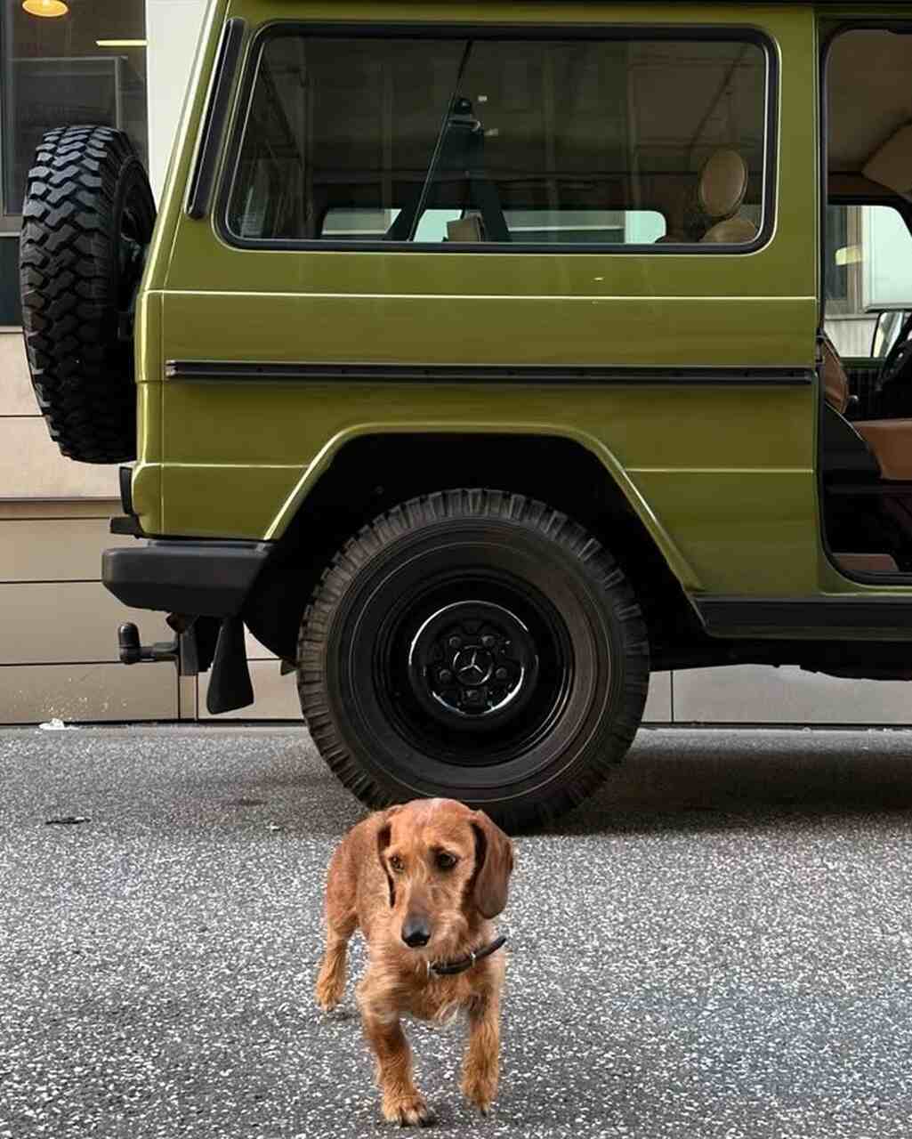 mercedes clase g