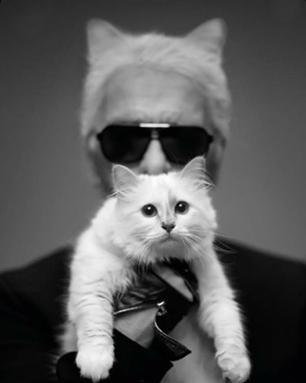 karl lageerfield y choupette