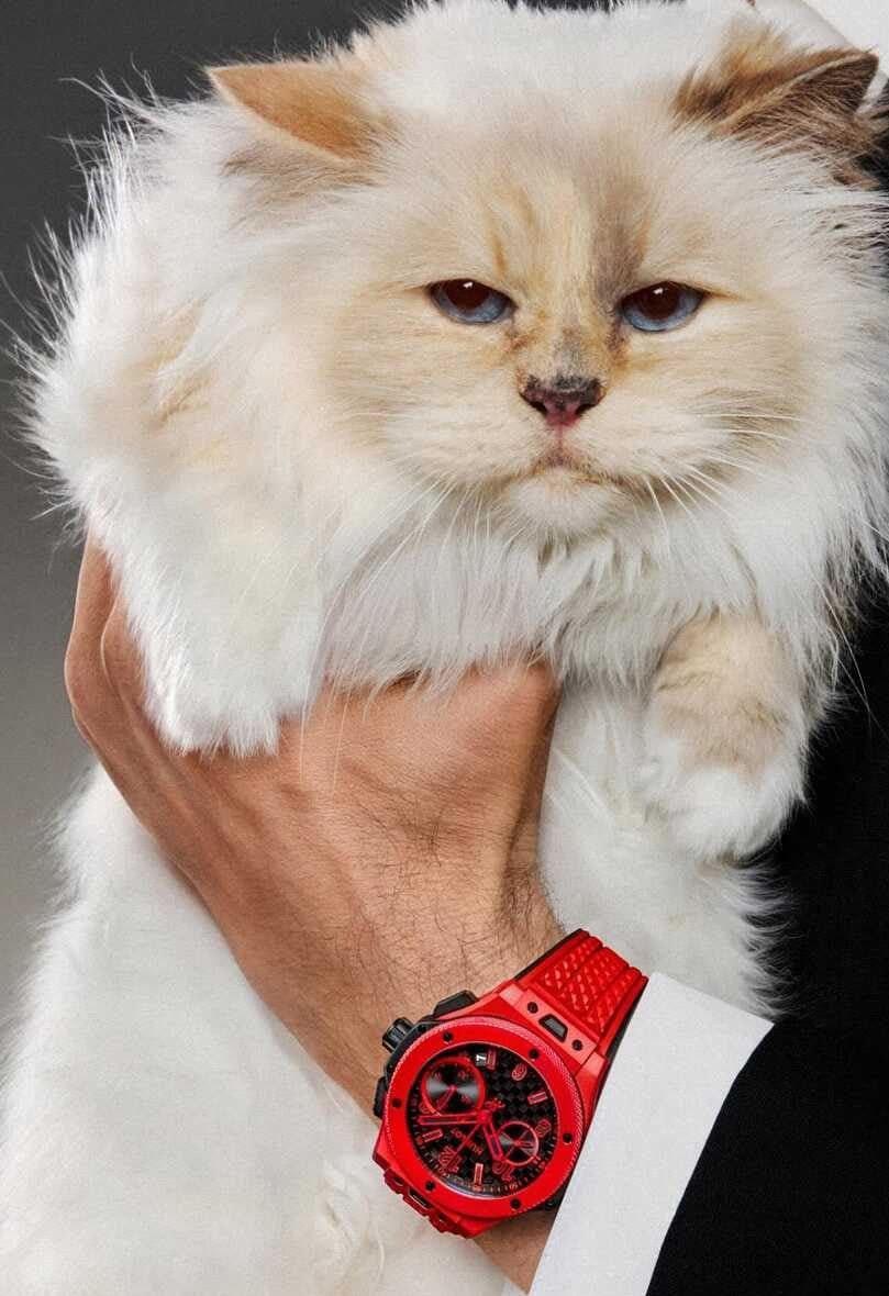 relojes