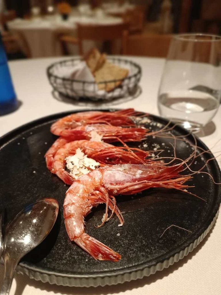 temporada de gamba roja