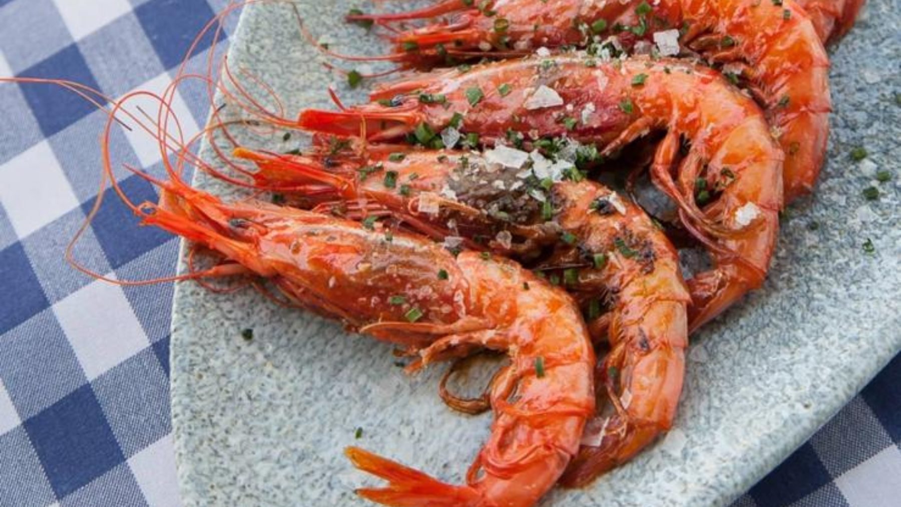 Gamba Roja