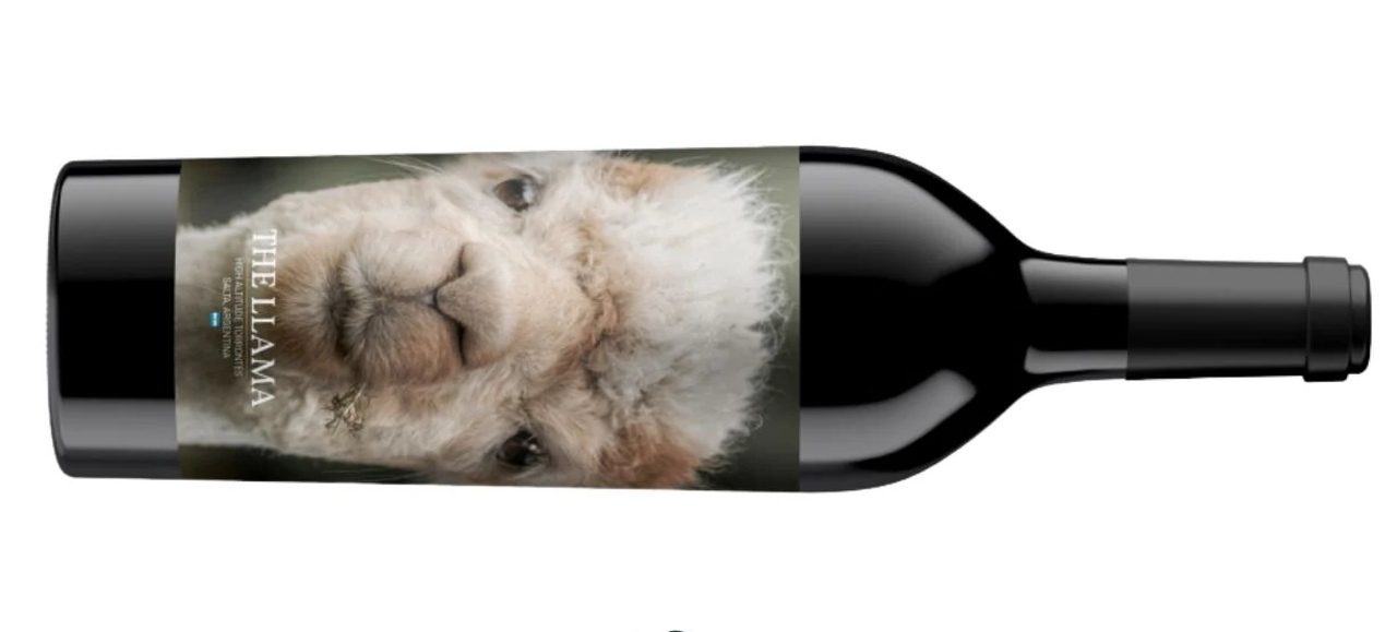 vinos para maridar la primavera - blanco