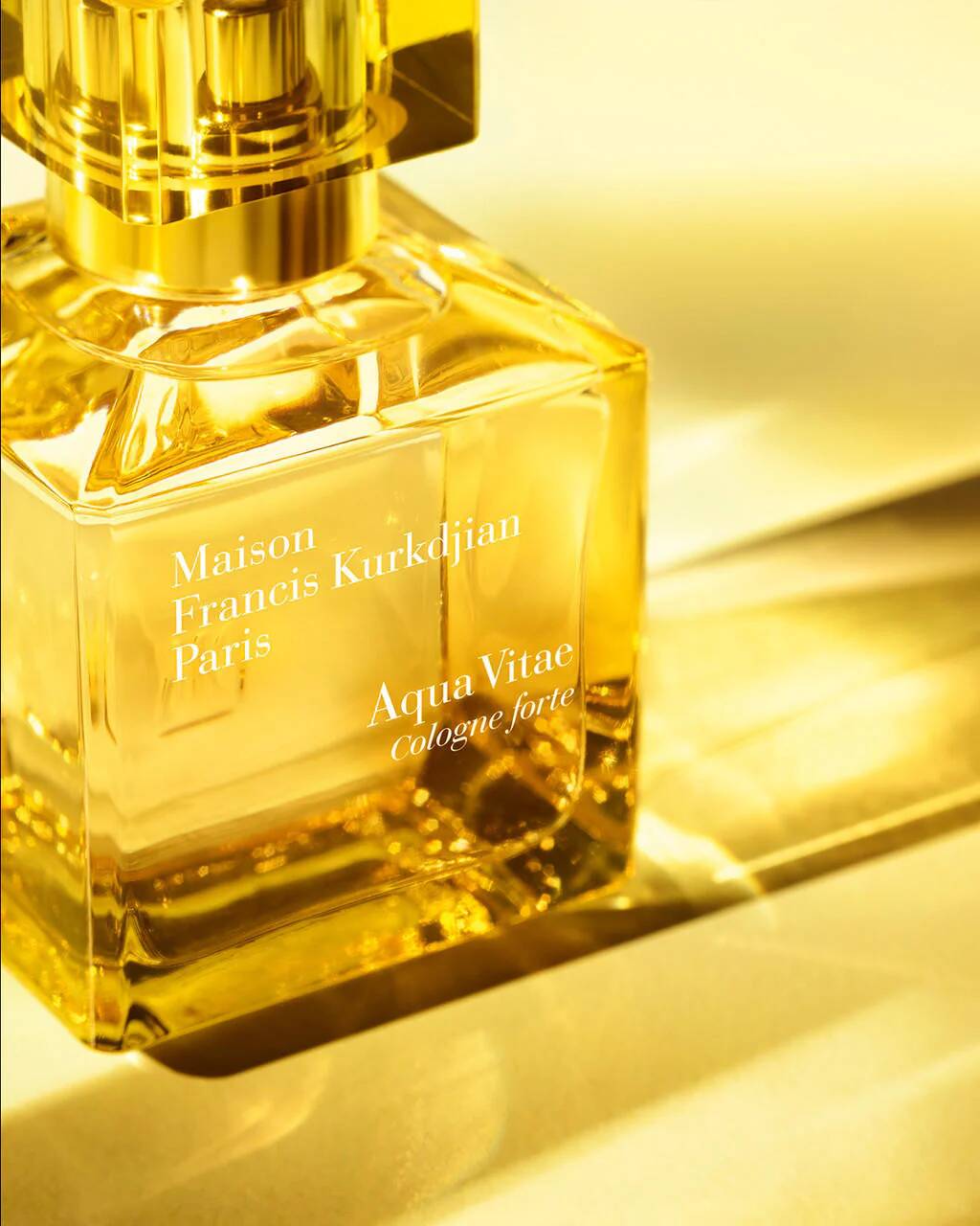 perfumes de noche